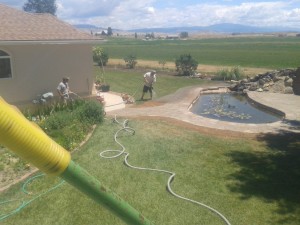 Hydro-Seeding around patio