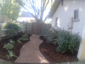 Trail Mix Path to backyard entry way