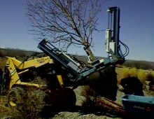 A Variety of Planting and Lawn Installation Projects