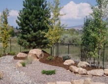 A small backyard Landscape